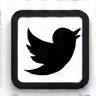 Twitter icon